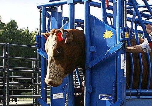 Image for: Farm & Ranch Equipment