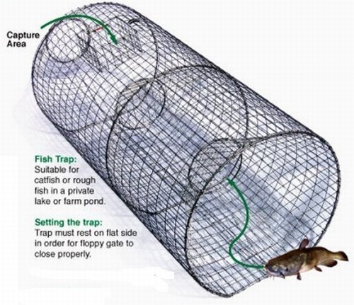 Fish Trap Supply